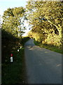 Feidr Pen y Bont near Ger-y-Fron