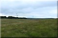 NX2168 : Rough grassland beside Kilgallioch Forest by Graham Robson