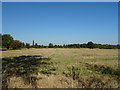 Stubble field off Waterperry Road