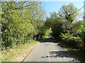 Piddington Road towards Ludgershall