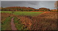 The Tunnel Top, Kiveton Park