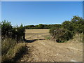 Field entrance off Bicester Road