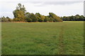 Footpath to Godington