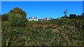 Houses up the hill near Oakbank Farm