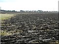 Ploughed field