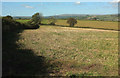 Farmland near Worthele Cross