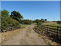 Track to Dunstyhill Farm