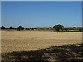 Stubble field, Middle Claydon