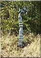 Millennium Milepost, National Cycle Route 51