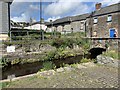 Tavistock Canal at Tavistock Wharf