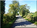 The NW stretch of Creamery Road, Crossmaglen