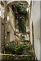 W2789 : Ireland in Ruins Pt II: Mount Leader House, Co. Cork (5) by Mike Searle