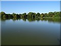 ST8870 : Lake in Corsham Park by Philip Halling