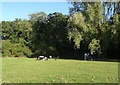 Picnic area, Tattenhoe Valley Park