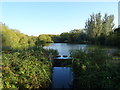 Weir and lake, Knowlhill, Milton Keynes