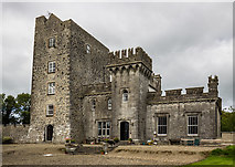 R7949 : Castles of Munster: Castlegarde, Limerick (2) by Mike Searle