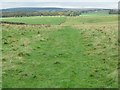 Track twixt Harelaw Moor and Wedderlie in the Scottish Borders