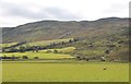 Pastureland at Blairnairn