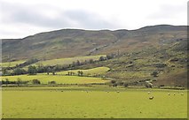 NS2987 : Pastureland at Blairnairn by Alan Reid