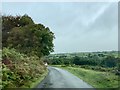 Road on Throwleigh Common