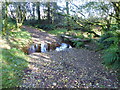 Ford near Lower Merripit Cottage