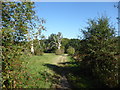 Looking along the Chess Valley Walk