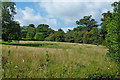 Pasture and woodland near Marple, Stockport