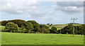 Field on East side of Beechgrove Lane