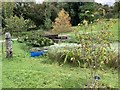 Lake in the new arboretum