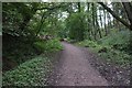 Former railway track bed towards Goathland