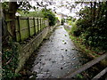 Downstream along Boverton Brook, Boverton