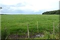 NU1733 : Field and wood near Glororum by DS Pugh