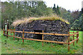 Dun Lubnaig Broch project, Strathyre