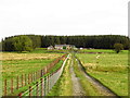 Closehead, near Otterburn