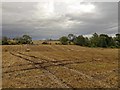 NH5448 : Tarradale Through Time Dig Site by valenta