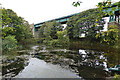 Pond and Viaduct