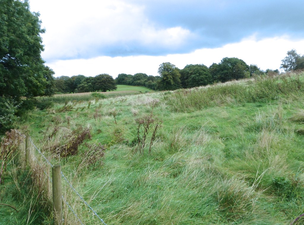 Meadowland near Martonsands © Anthony O'Neil :: Geograph Britain and ...