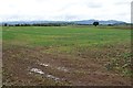 Arable farmland near Severn Stoke