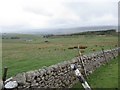 NY8531 : View Towards Old Folds Farm and Upper Teesdale by Les Hull