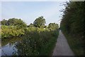 Coventry Canal towards bridge #6