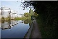 Coventry Canal towards bridge #7