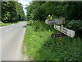 Signpost along Barnsdale Avenue