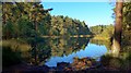 Bordie Loch on a still morning