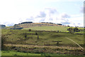 Farmland at Polnessan