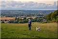 Ruishton : Grassy Field