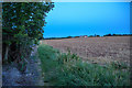 Ruishton : Ploughed Field