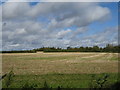 Field near West End Farm