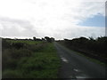 The lane to Laugharne Burrows