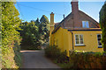 Luccombe : Country Lane