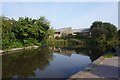 Coventry Canal towards bridge #7